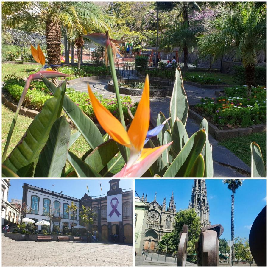 Casa Isabel Centro Historico Villa Arucas Eksteriør billede