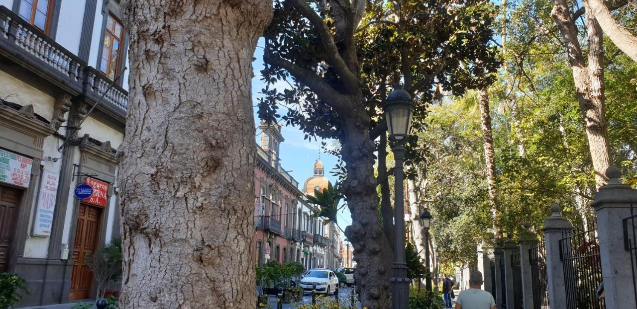 Casa Isabel Centro Historico Villa Arucas Eksteriør billede
