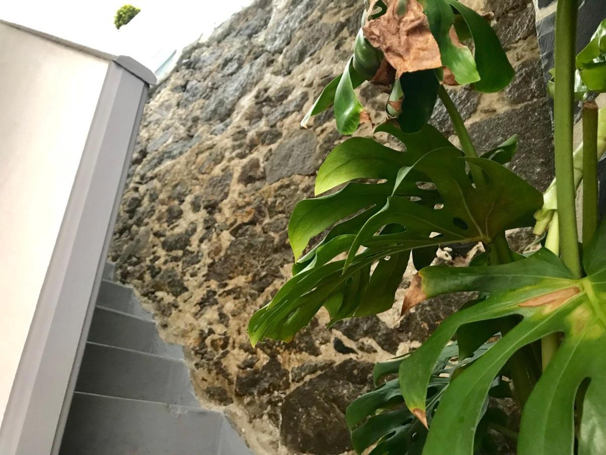 Casa Isabel Centro Historico Villa Arucas Eksteriør billede